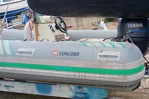 gommone con motore 40cv 