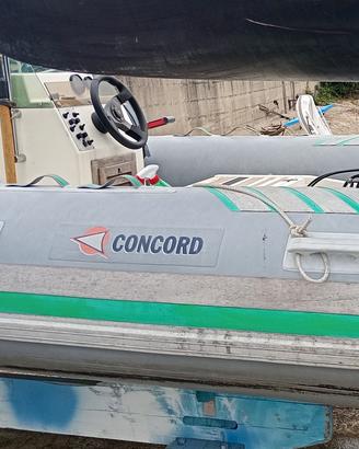gommone con motore 40cv 