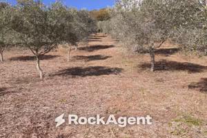 Terreno di 23500 m² a Marcellinara