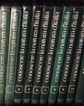 enciclopedia