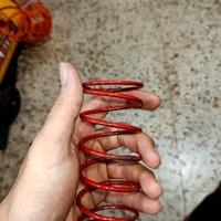 molla rossa malossi per minarelli