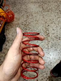 molla rossa malossi per minarelli