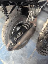 Polini evo 3 Minarelli orizzontale 