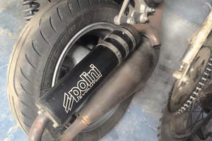 Polini evo 3 Minarelli orizzontale 