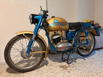 Gitan Libeccio 125 motocicletta targa Oro FMI