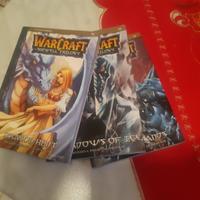 WARCRAFT THE SUNWELL Serie completa
