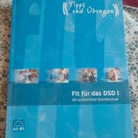 Fit für das DSD I - Hueber