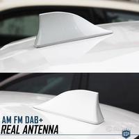 Antenna PINNA SQUALO BIANCA per CITROEN VERO SEGNA