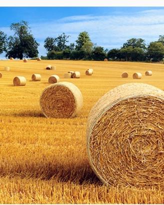 fieno rotoballe 