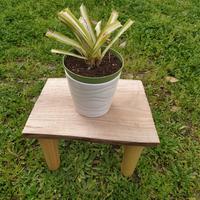 Sgabello con piano in ciliegio 