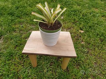 Sgabello con piano in ciliegio 