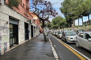 NEGOZIO A ROMA