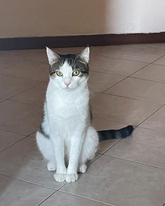 Ares