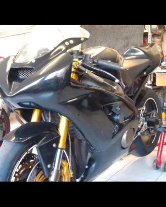 Ninja 600 RR 