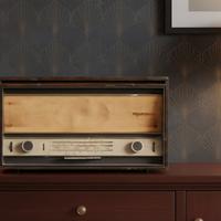 radio  e lettore  dischi  telefunken  da riparare 