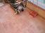 Immagine 3