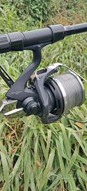 mulinelli da carpfishing shimano 14000