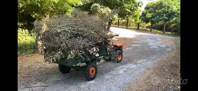 Trattorino motocoltivatore motoagricola Goldoni