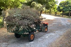 Trattorino motocoltivatore motoagricola Goldoni