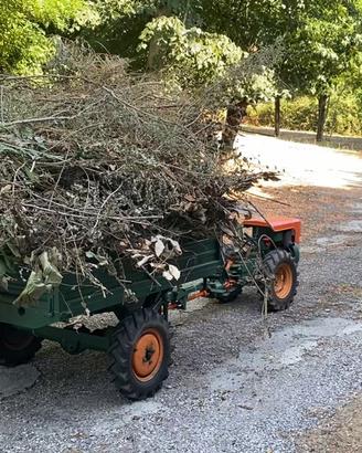 Trattorino motocoltivatore motoagricola Goldoni