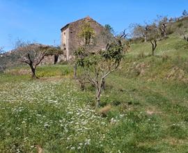 Soluzione indipendente con terreno