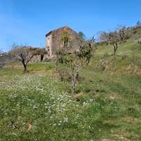 Soluzione Indipendente con Terreno di 3500 mq ca