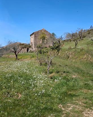 Soluzione Indipendente con Terreno di 3500 mq ca