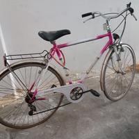 bicicletta maschile