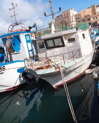 Barca da Pesca con licenza