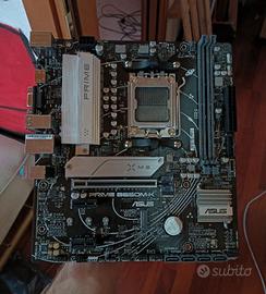 scheda madre asus b650m