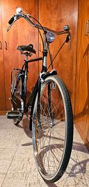 bicicletta sparta Windsor 