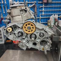 Motore Aprilia Rotax 123