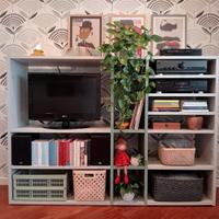 Mobile tv e libreria