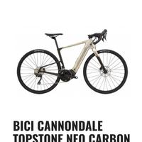 Cannondale topstone  emtb gravel
