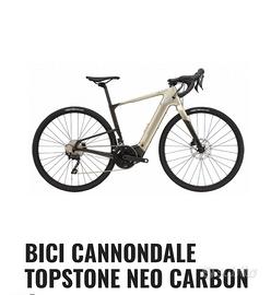 Cannondale topstone  emtb gravel