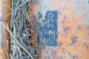 Trinciatutto SICMA cm220