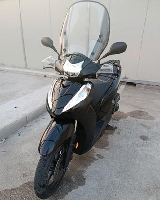 SH 300 anno 2020