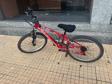 Bici Alpina Flip 24