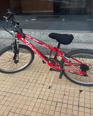 Bici Alpina Flip 24
