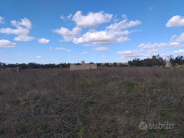 Scorrano immobile in campagna con terreno di 5250