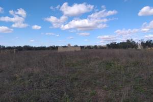 Scorrano immobile in campagna con terreno di 5250