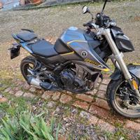 Vedno voge brivido 500 R
