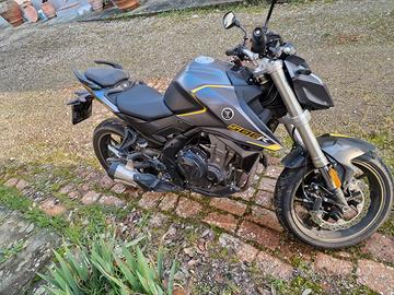 Vedno voge brivido 500 R