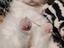 Immagine 4