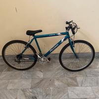 bicicletta mountain bike