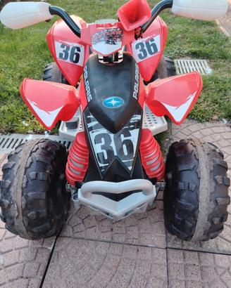 Quad Polaris 