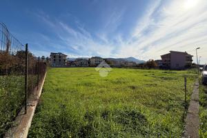 TER. RESIDENZIALE A SANTA MARIA DEL CEDRO