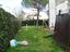 Immagine 7