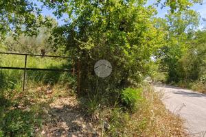 RUSTICO A AGROPOLI