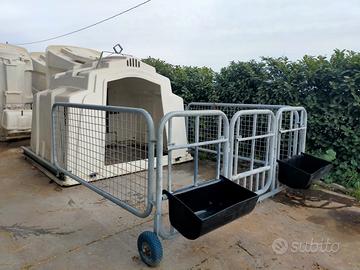 Box, Igloo per vitelli